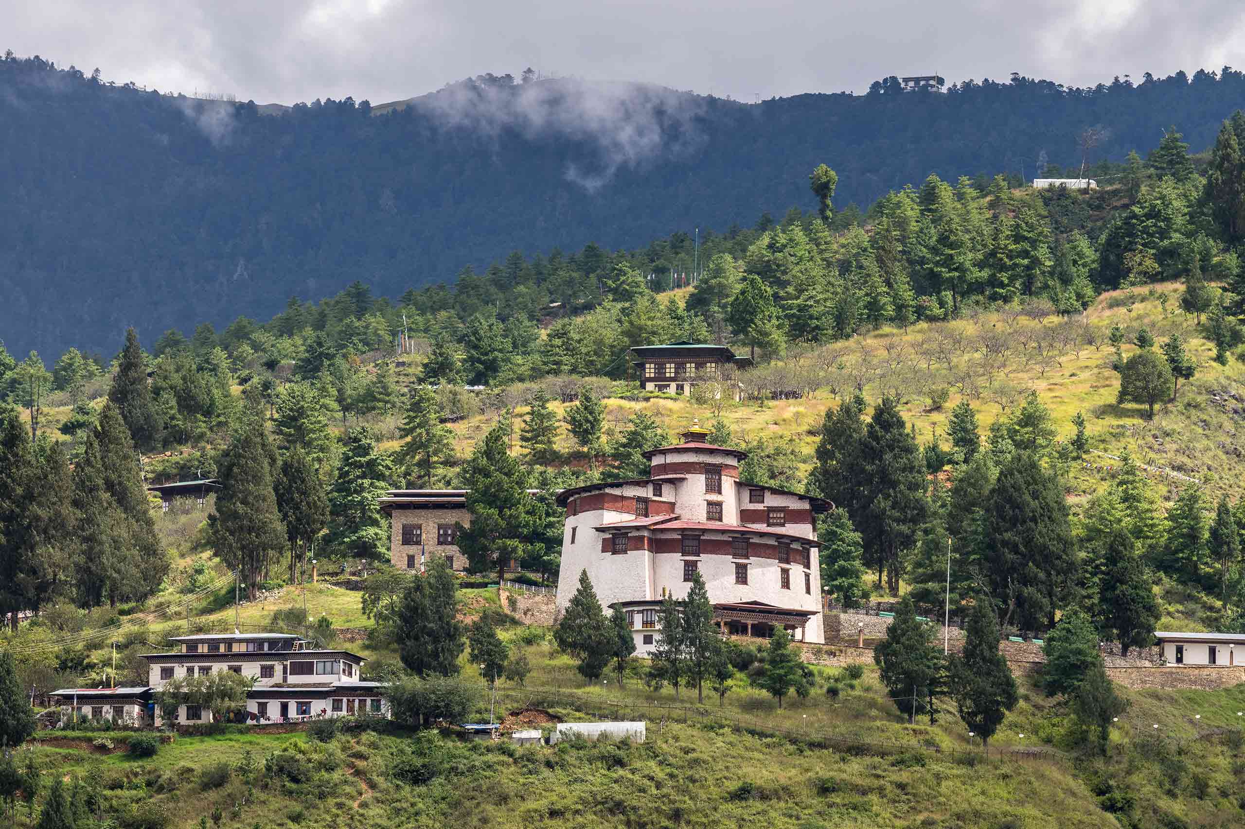 Paro